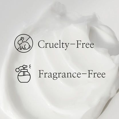 Beauty of Joseon die beruhigende Creme Dynasty Cream 50 ml