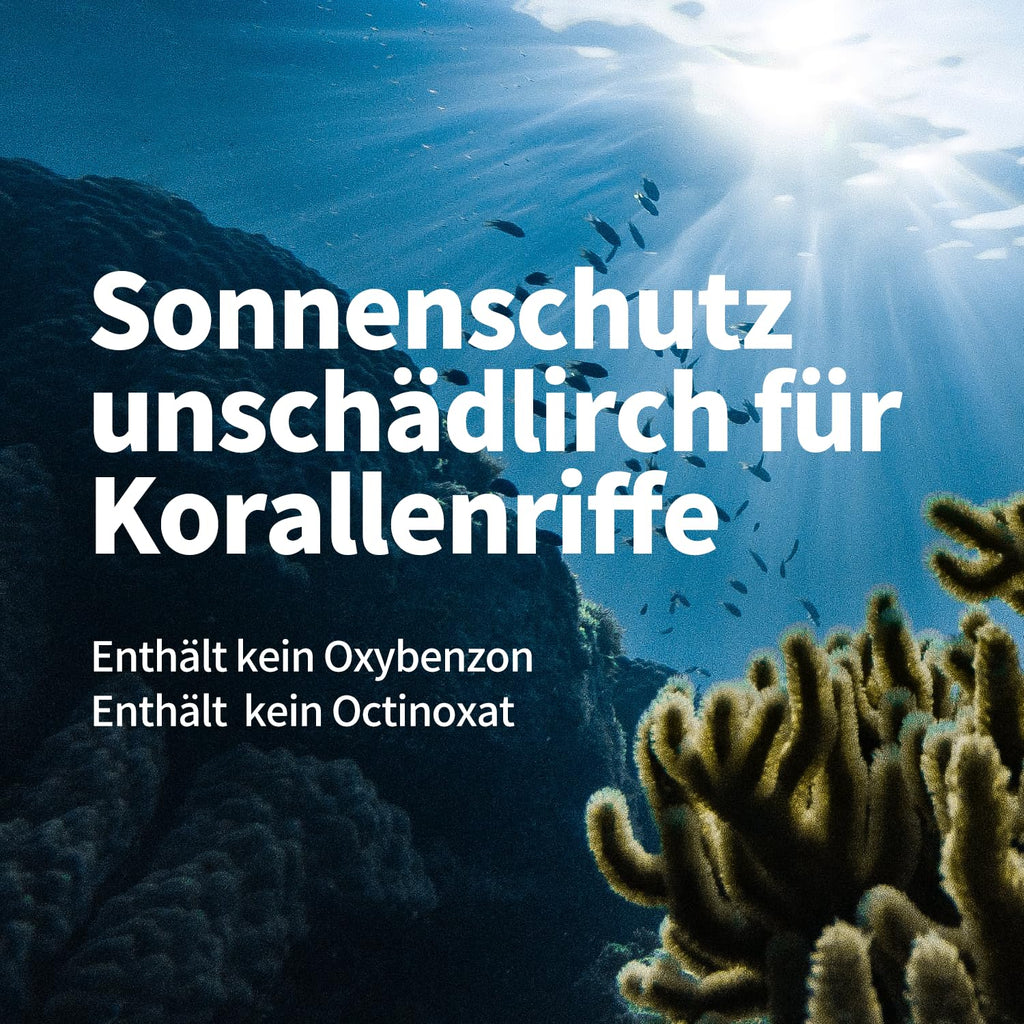 Round Lab Birch Juice Tanning Cream Moisturizing Sun Cream SPF50+ PA++++ 50 ml